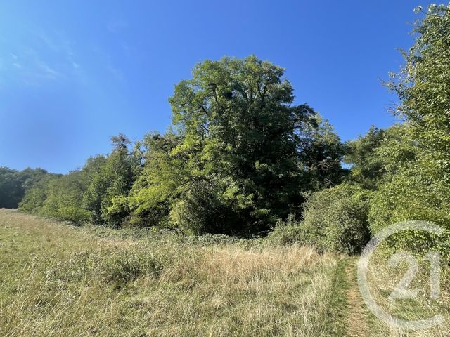 terrain à vendre - 1555.0 m2 - HOUDEMONT - 54 - LORRAINE - Century 21 Joël Pierre Immobilier