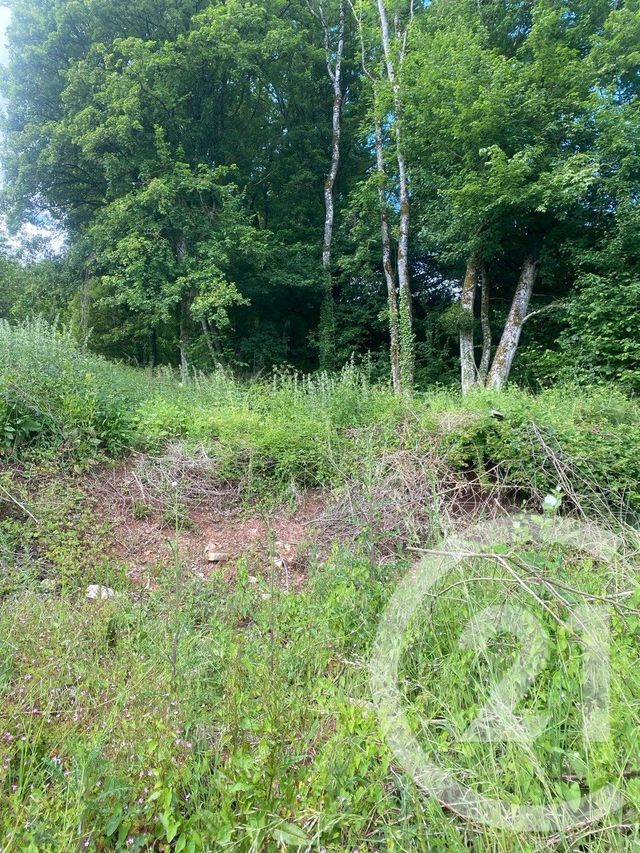 terrain à vendre - 1700.0 m2 - CREVECHAMPS - 54 - LORRAINE - Century 21 Joël Pierre Immobilier