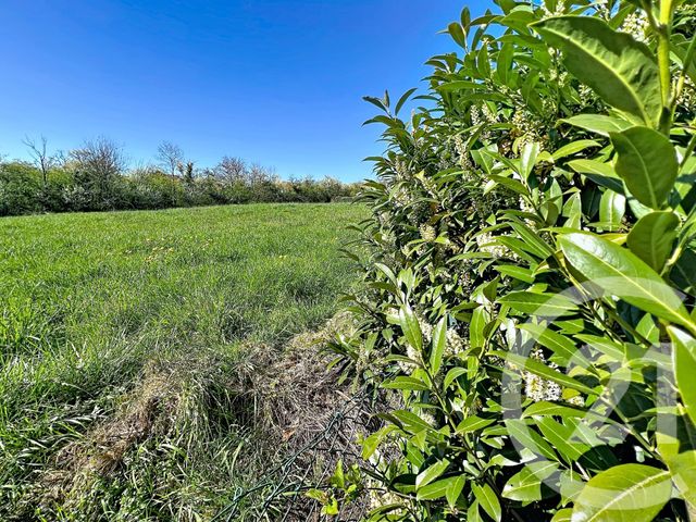 maison à vendre - 4 pièces - 139.85 m2 - LUDRES - 54 - LORRAINE - Century 21 Joël Pierre Immobilier